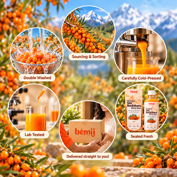Himalayan Sea Buckthorn Berry Juice (Pulp) | 500 ml